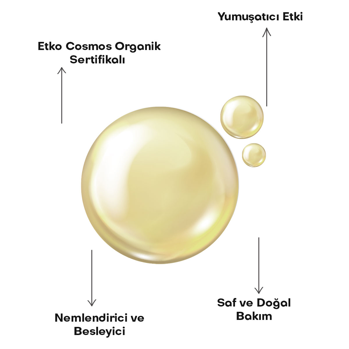 8684215390181—KARE-2