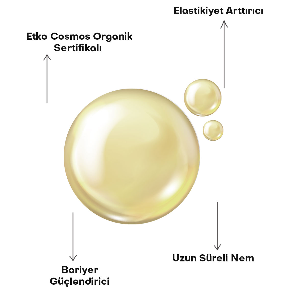 8684215390198—KARE-2