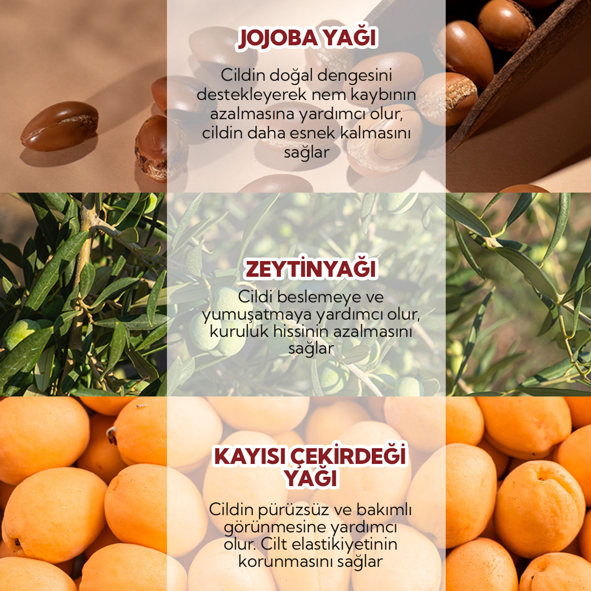 8684215390198—KARE-3